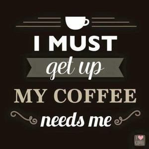 Meet your Posher, Peter